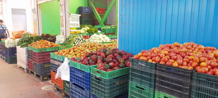 productos de consumo vegetal 