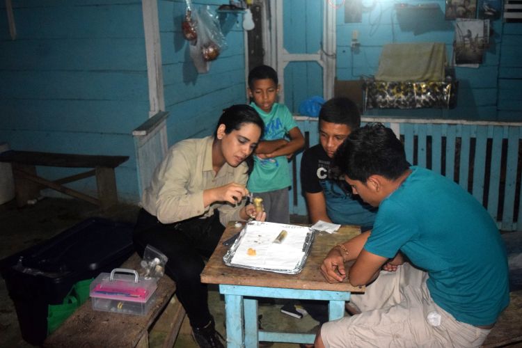 3.	Trabajo en campo y desarrollo de extensiones.