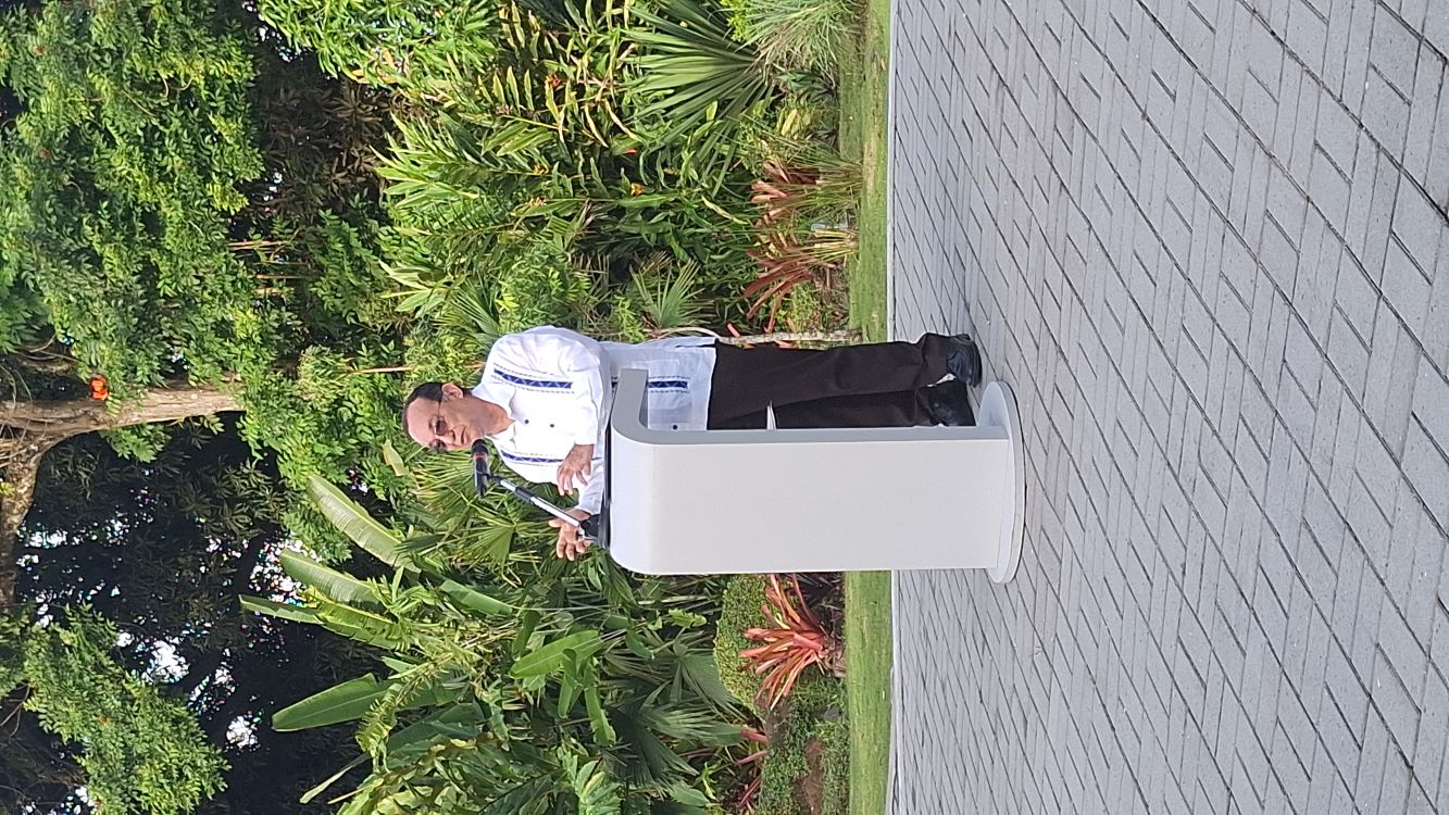 flores 3 de nov 2024 