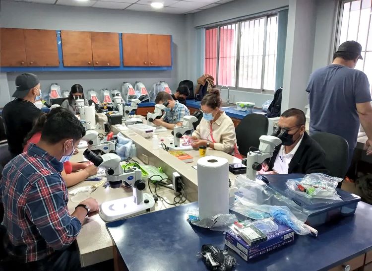 Foto de web de la salud