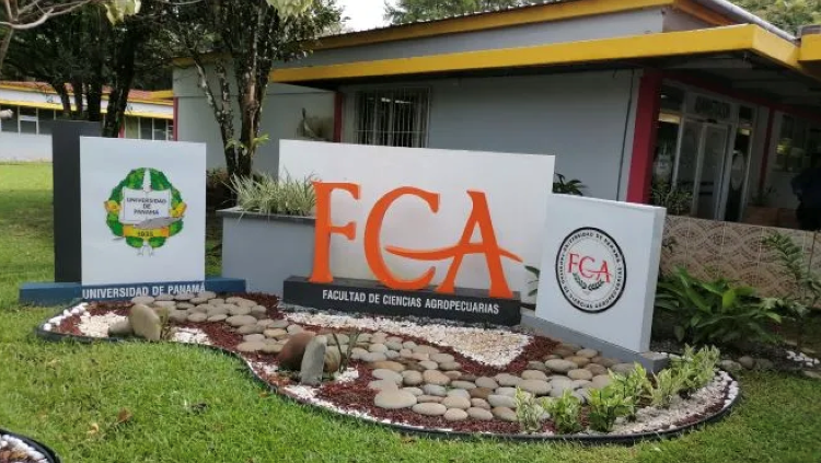 fca 