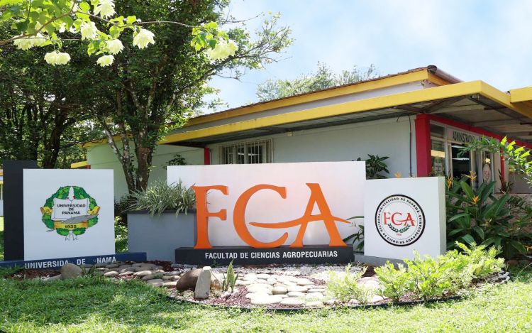 fca