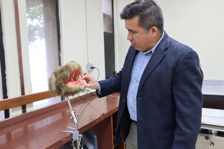 cabeza de perro mentira