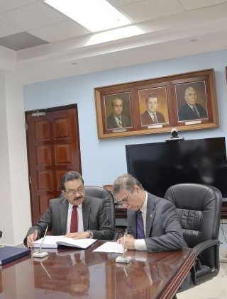 bellas artes decano 2026