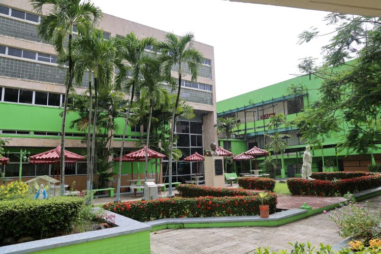 facultad de medicina 