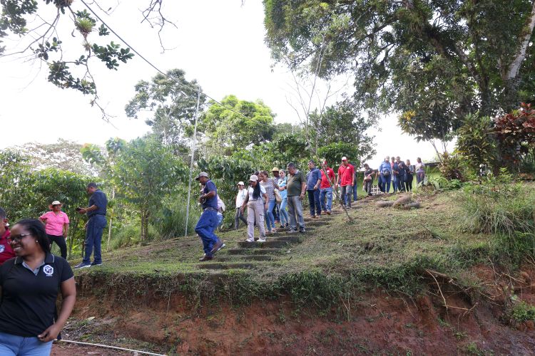 caminata PO en Ciricito