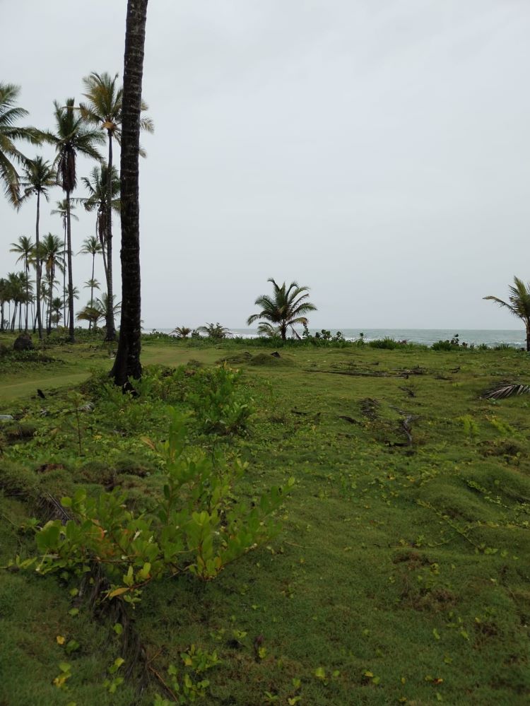 Sitio localizado en Icacal, Costa Abajo de Colón.