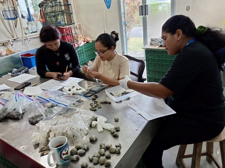 estudiantes almejas bique