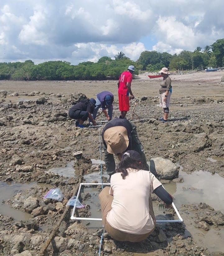 recoleccion en bique