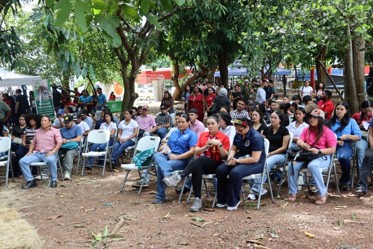 feria FCa