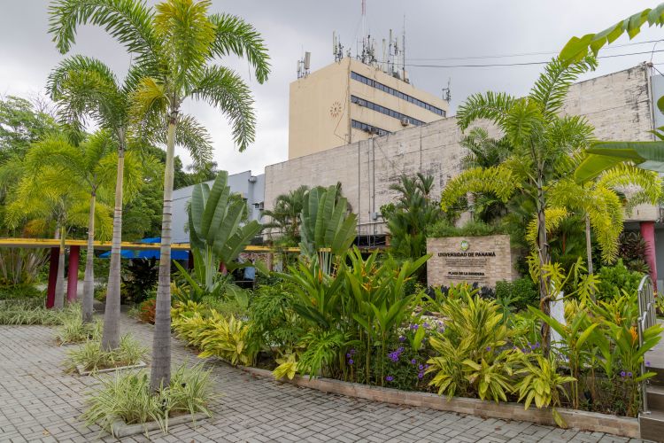 jardín de la colina 