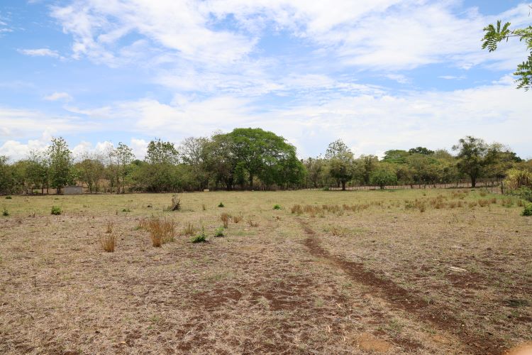 campo