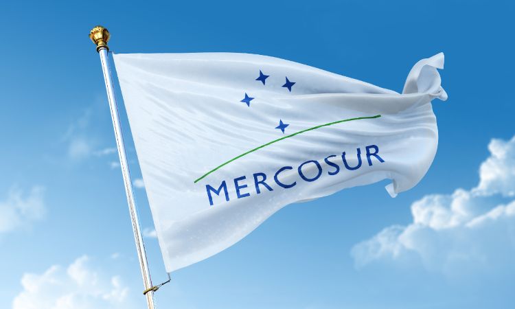 bandera mercosur