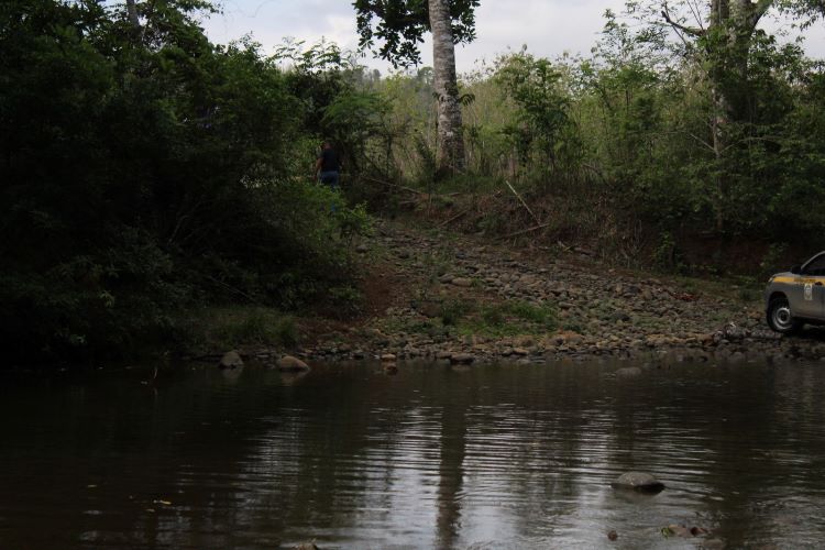 cañita