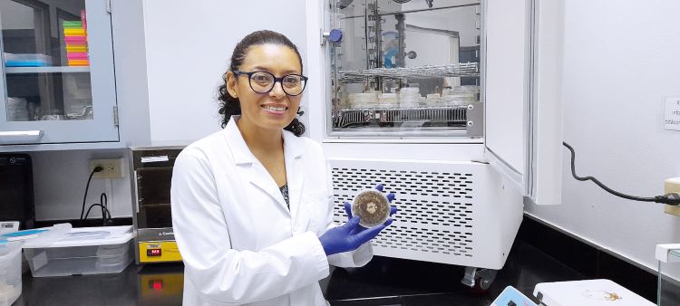 2.	Dra. Gesabel Navarro Velasco, investigadora de CIIMET. 