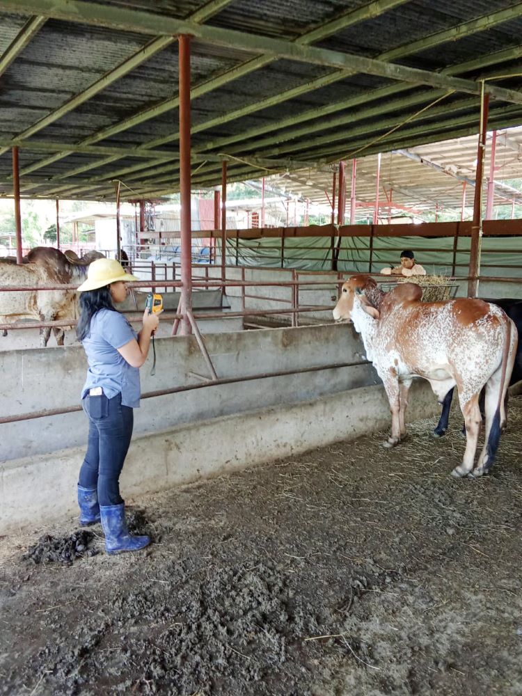 FCA trabajo de grado 