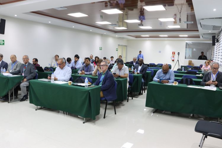 participantes del ruitem