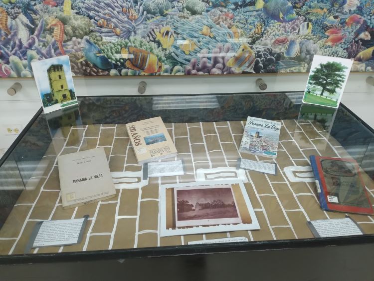 exposición pma viejo 