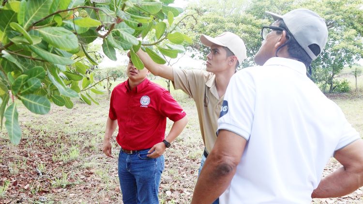 Estudiantes Alan Arauz y Albis Frias 