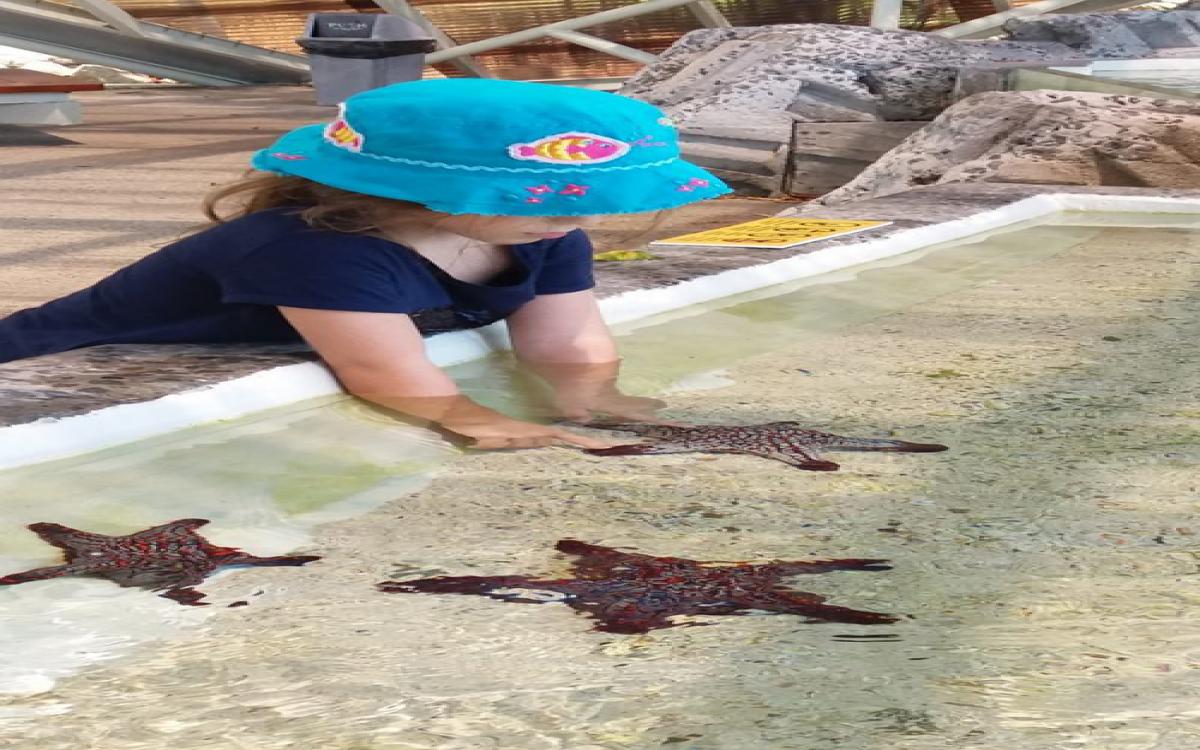 Las estrellas de mar siempre son el gran atractivo para los niños./fotografía cortesía del  Herbario UP y STRI