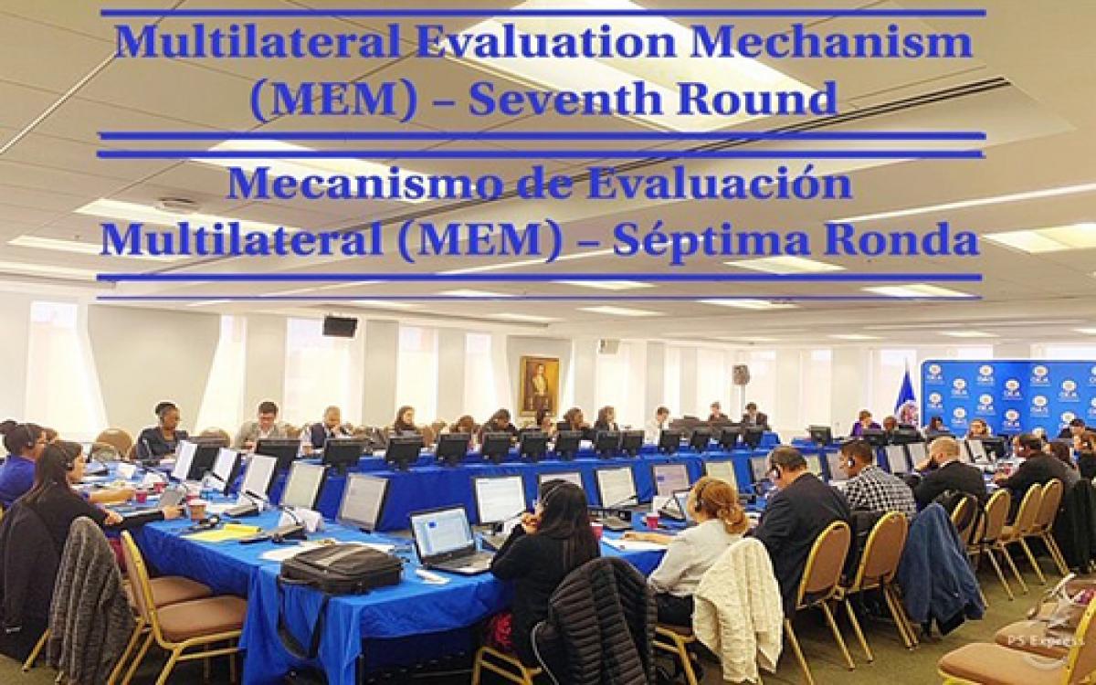 expertos Gubernamentales (GEG) del Mecanismo de Evaluación Multilateral (MEM)