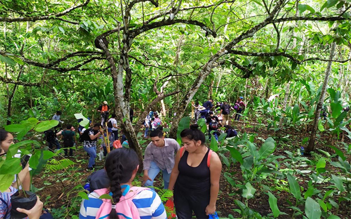 participantes /CIUDAD DEL ARBOL 