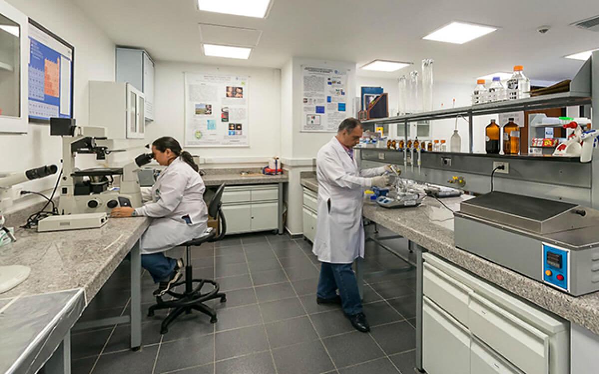Laboratorios de Investigación 