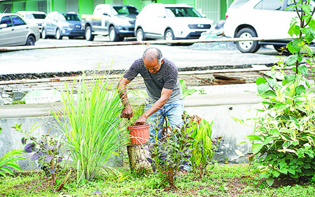  Azael Toro, mantiene un jardín digno de admirar en la Vicerrectoría de Investigación y Postgrado.