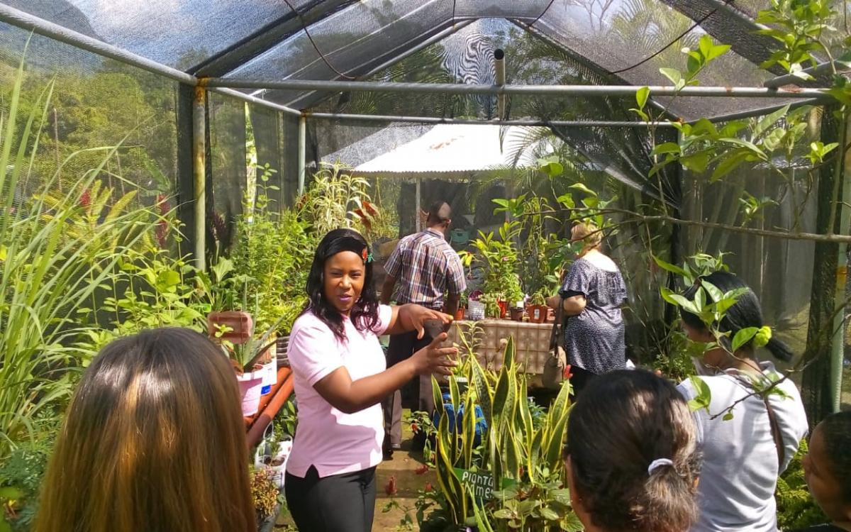 Huerto Escolar creado por estudiantes de la Escuela de Biología 