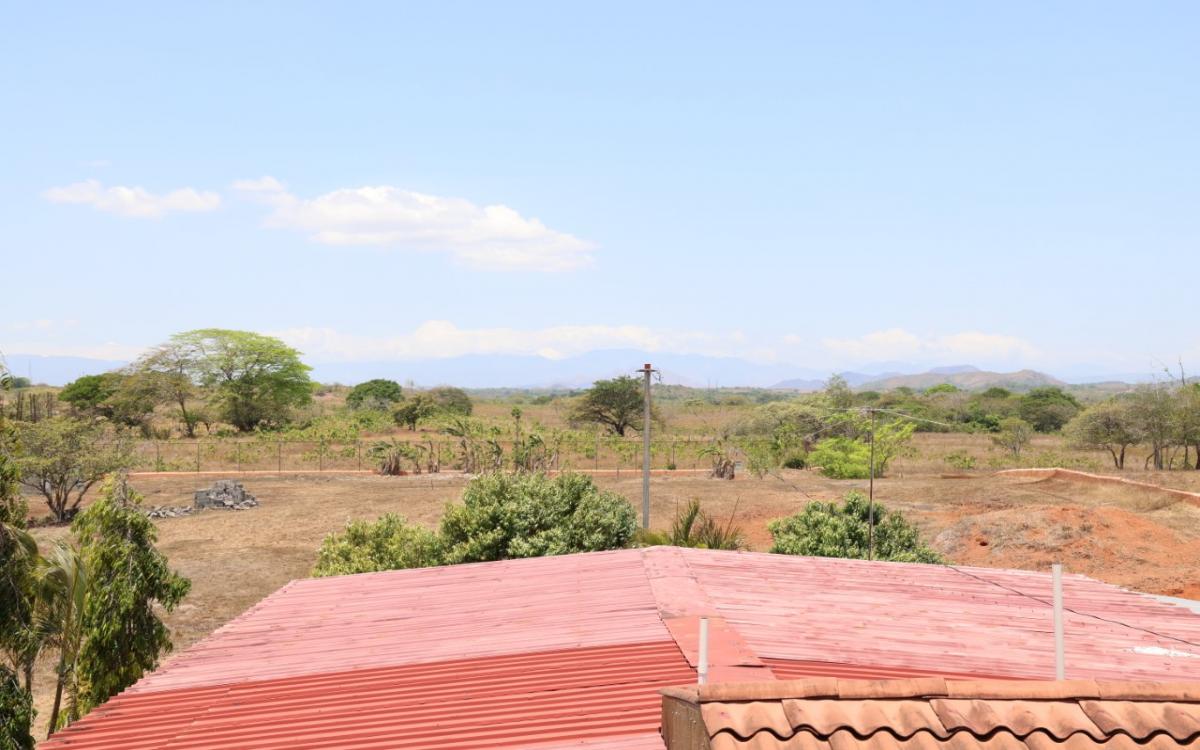 Globo de terreno de 6 hectáreas  
