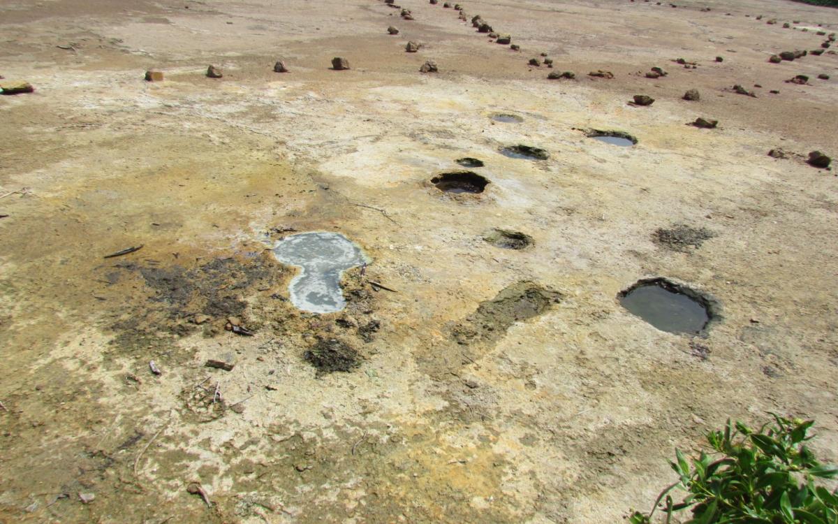 Vista parcial de paisaje geomorfológico, constituido por el shott litoral, y geoformas kársticas superficiales (exokarst), como micro-dolinas, sumideros y domos